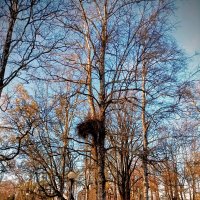 Прогулка по парку Кадриорг :: Veera V