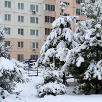 Мороз снежком укутывал :: Татьяна Лютаева Мороз снежком укутывал :: Татьяна Лютаева