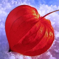 Фонарик в снегу :: Людмила Смородинская