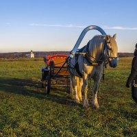 Поджидая седока :: Сергей Цветков