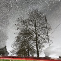 Отражение3.  Альбом "Природа" :: Sergey Krivtsov