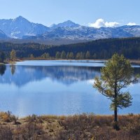 Алтай.озеро :: Александр Чибисов