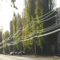 ноябрьский вечер :: Елена Шаламова