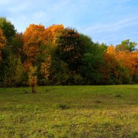 Новочебоксарск. Яблоневая поляна Ельниковской рощи в октябре. :: Пётр Чернега Новочебоксарск. Яблоневая поляна Ельниковской рощи в октябре. :: Пётр Чернега