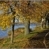 *** :: Aleksandr Gal