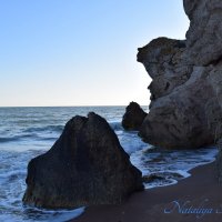 Природа Крыма :: Amazing Cosmea