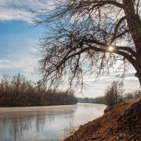 Мороз и солнце... :: Дина Евсеева