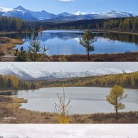 Алтай.Осень :: Александр Чибисов