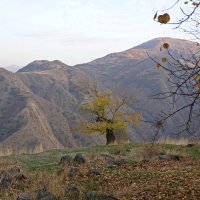 В горах Армении :: Галина 