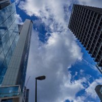 Устремленные... :: Наталья Rosenwasser Устремленные... :: Наталья Rosenwasser