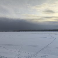 Своя тропка :: Anna Ivanova