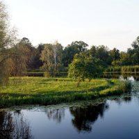 Мухавец :: Gal` ka