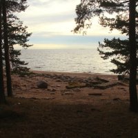 Репино :: Наталья Герасимова