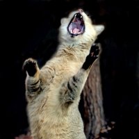 Камышовый :: Михаил Бибичков Камышовый :: Михаил Бибичков