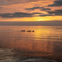 Тишина :: Ирина 