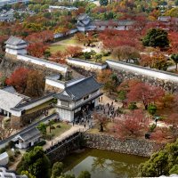 Вход в замок "Белая цапля" :: Виталий Авакян