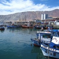 В порту чилийского города Икике. :: unix (Илья Утропов)