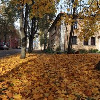 ОСЕНЬ :: Николай 