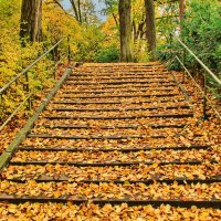 Лестница в осень :: Андрей K.