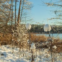 Первый снег. :: Николай 