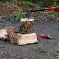 Завтра будет шашлык :: Игорь Сикорский