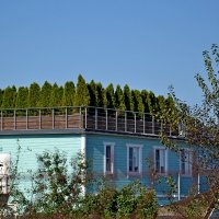 ПУШКИНСКИЕ ГОРЫ. :: Виктор Осипчук