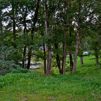 ПУШКИНСКИЕ ГОРЫ. :: Виктор Осипчук