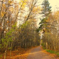 ПО ОСЕННИМ АЛЛЕЯМ ПАРКА... :: Валентина 