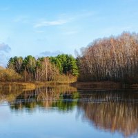 Уголок осенней природы. :: Милешкин Владимир Алексеевич Уголок осенней природы. :: Милешкин Владимир Алексеевич