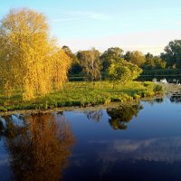 Утро на Мухавце :: Gal` ka