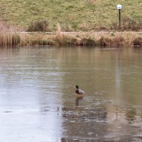 ... Нам море по колено/ Нам горы по плечо... :: Игорь Николаев