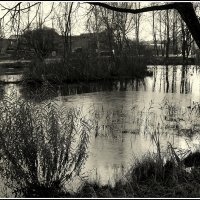 Первый ледок... :: Aleksandr Gal