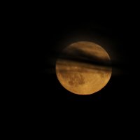 Луна с повязкой на глазах. :: Евгений Седов