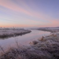 **** :: Елизавета .