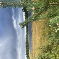 Озеро :: Ольга Савельева 