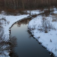 Ноябрьский монохром. :: Лилия *