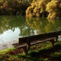 Скамейка :: Юрий. Шмаков