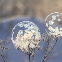 Пузыри :: Андрей Пристяжнюк