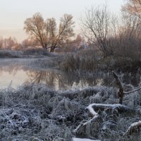 Первые морозы :: Сергей Ц