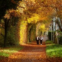 Под аркой осени :: Юрий. Шмаков