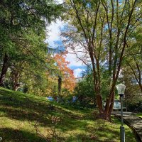 Адлер. В пансионате "Орбита" :: Нина Бутко