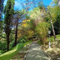 Адлер. В пансионате "Орбита" :: Нина Бутко