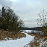 Ноябрь скоро зима. :: Михаил Столяров