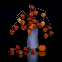 Физалис на черном... :: Людмила Павловна Крышковец