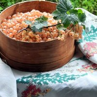 Натюрморт. :: жанна нечаева