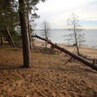 Репино :: Наталья Герасимова Репино :: Наталья Герасимова