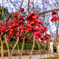 Прогулка по парку Кадриорг :: Veera V