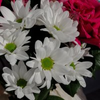 *** :: Виктор Иванович Чернюк