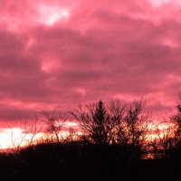 Яркое утро :: Людмила Смородинская