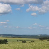 лето в разгаре :: Ольга Гомзина лето в разгаре :: Ольга Гомзина